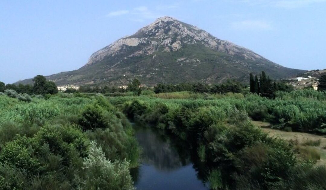 LA SUPERBA BIODIVERSITÀ DEL MONTE TUTTAVISTA